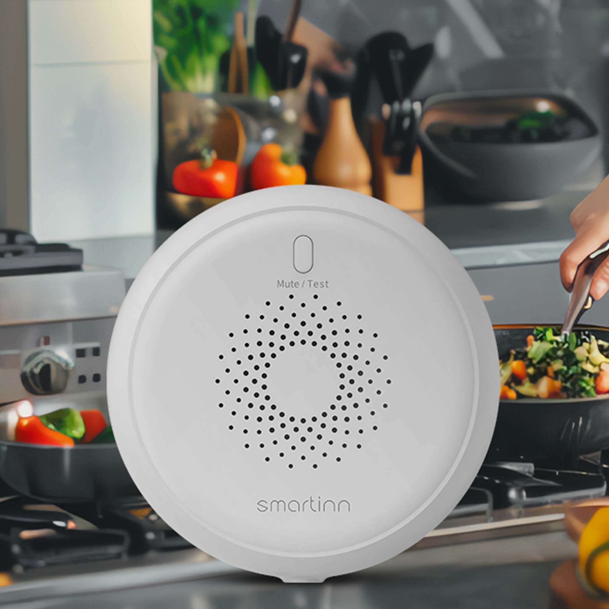 Gas Leakage Sensor