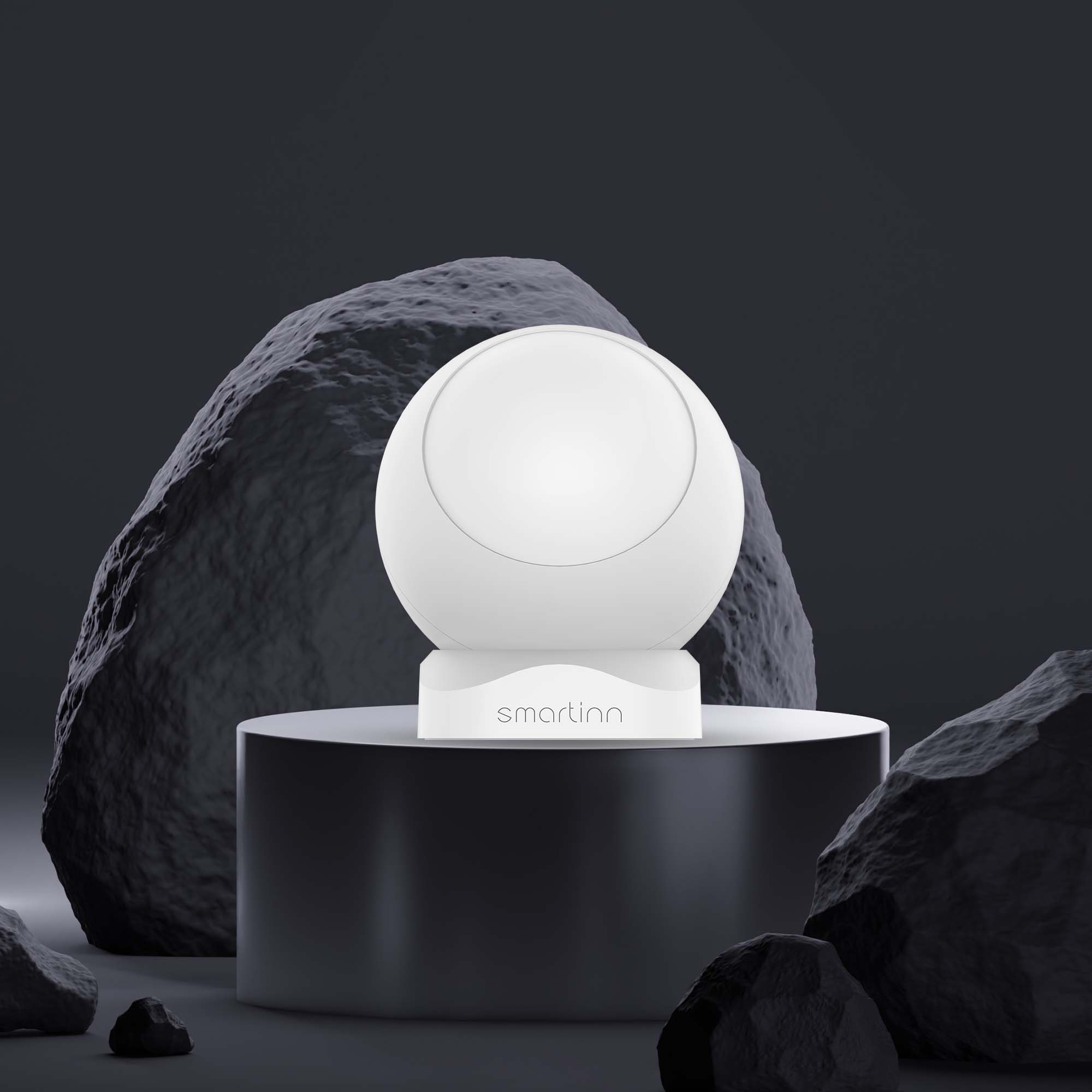 Motion Sensor